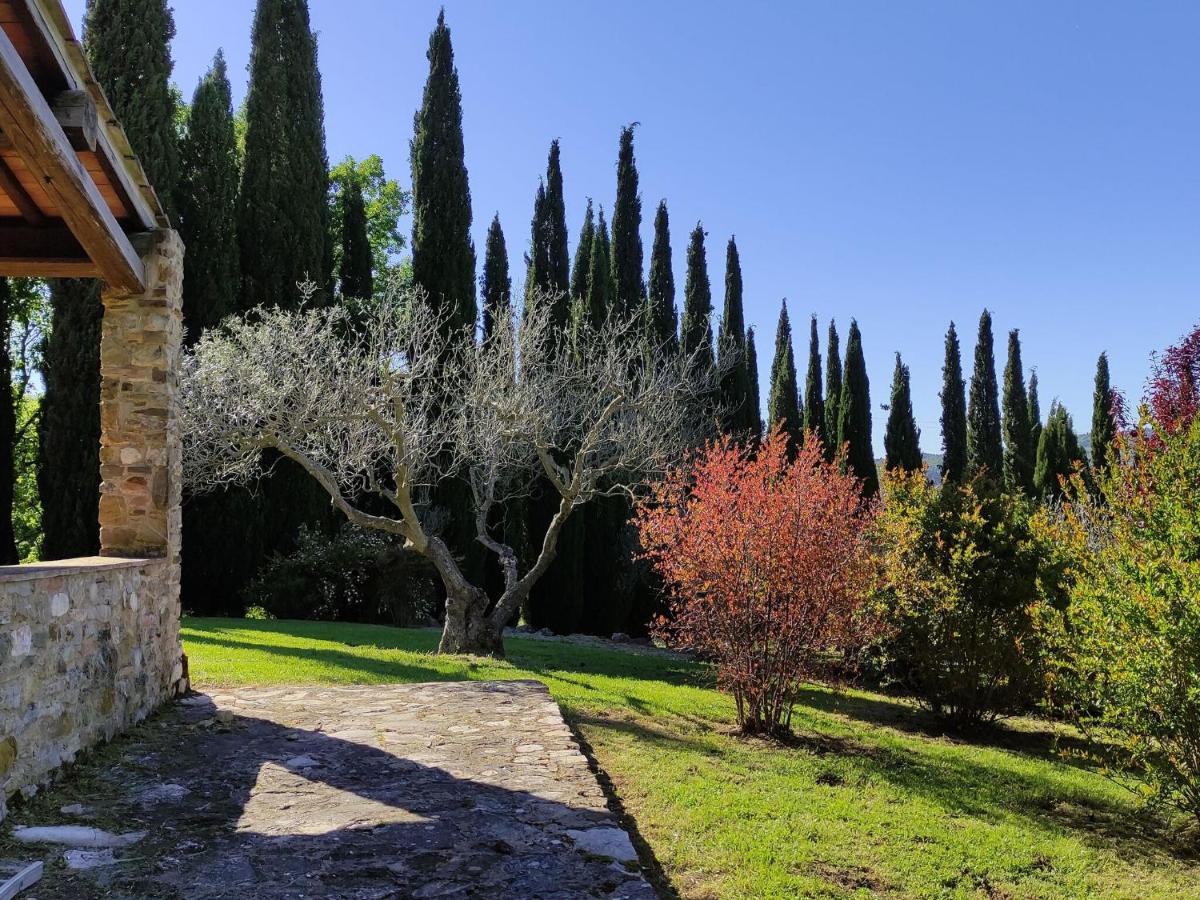 Atmospheric Apartment In Authentic House Near Beautiful Sasso Pisano ภายนอก รูปภาพ